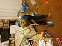 Click image for larger version

Name:	20200107_070309v2.jpg
Views:	139
Size:	318.5 KB
ID:	2386022