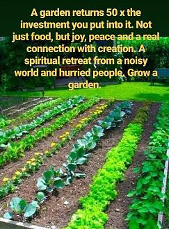 Click image for larger version

Name:	garden.jpg
Views:	1
Size:	149.2 KB
ID:	2386371