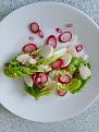 Click image for larger version

Name:	radish.jpg
Views:	226
Size:	315.2 KB
ID:	2387005