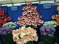 Click image for larger version

Name:	2007_0417Image0030.JPG
Views:	425
Size:	62.3 KB
ID:	2387819