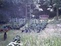 Click image for larger version

Name:	the plot 1.JPG
Views:	285
Size:	7.7 KB
ID:	2387879