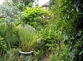 Click image for larger version

Name:	Garden jungle copy.jpg
Views:	537
Size:	77.7 KB
ID:	2387884