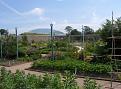 Click image for larger version

Name:	Walled garden &amp;amp; dome.jpg
Views:	360
Size:	49.2 KB
ID:	2387888