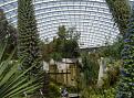 Click image for larger version

Name:	Echiums copy.jpg
Views:	285
Size:	66.4 KB
ID:	2387889