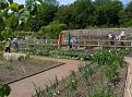 Click image for larger version

Name:	Veg patch.jpg
Views:	319
Size:	64.9 KB
ID:	2387890