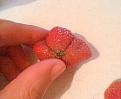 Click image for larger version

Name:	strawb3.jpg
Views:	723
Size:	28.4 KB
ID:	2387938