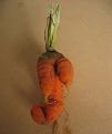 Click image for larger version

Name:	busty_carrot.jpg
Views:	2282
Size:	13.8 KB
ID:	2387963
