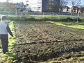 Click image for larger version

Name:	Allotment 003.jpg
Views:	273
Size:	32.1 KB
ID:	2388019