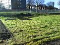Click image for larger version

Name:	Allotment 004.jpg
Views:	273
Size:	31.9 KB
ID:	2388020