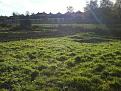 Click image for larger version

Name:	Allotment 005.jpg
Views:	244
Size:	23.2 KB
ID:	2388021