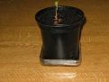 Click image for larger version

Name:	apricot tree Jan 2007-400.jpg
Views:	1594
Size:	12.2 KB
ID:	2388062