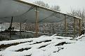 Click image for larger version

Name:	snowy_cage.jpg
Views:	314
Size:	58.7 KB
ID:	2388073