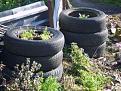 Click image for larger version

Name:	tires, feb-400.jpg
Views:	4076
Size:	26.8 KB
ID:	2388083
