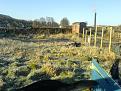 Click image for larger version

Name:	The Wicks Allotment.jpg
Views:	423
Size:	85.1 KB
ID:	2388093