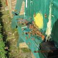 Click image for larger version

Name:	IMG_0321.jpg
Views:	344
Size:	34.7 KB
ID:	2404302