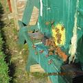 Click image for larger version

Name:	IMG_0322.jpg
Views:	347
Size:	36.7 KB
ID:	2404303
