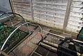 Click image for larger version

Name:	garden1.jpg
Views:	173
Size:	100.7 KB
ID:	2404389