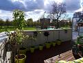 Click image for larger version

Name:	20170424_171017_resized_1.jpg
Views:	449
Size:	97.6 KB
ID:	2404436