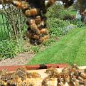 Click image for larger version

Name:	IMG_0359.jpg
Views:	319
Size:	51.4 KB
ID:	2404474