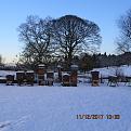 Click image for larger version

Name:	IMG_0444.JPG
Views:	416
Size:	110.5 KB
ID:	2405537