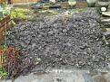 Click image for larger version

Name:	Pumpkin Bed.jpg
Views:	176
Size:	138.0 KB
ID:	2405638