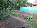 Click image for larger version

Name:	May 24th 2018 veg garden.jpg
Views:	195
Size:	85.4 KB
ID:	2406422