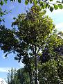 Click image for larger version

Name:	IMG_20180717_100656657.jpg
Views:	326
Size:	509.8 KB
ID:	2406468