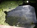 Click image for larger version

Name:	IMG_20190830_101504832_BURST001.jpg
Views:	181
Size:	454.9 KB
ID:	2407607