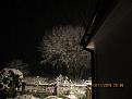 Click image for larger version

Name:	IMG_2873.jpg
Views:	292
Size:	77.1 KB
ID:	2407688