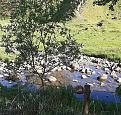 Click image for larger version

Name:	20200601_105243.jpg
Views:	206
Size:	820.6 KB
ID:	2497759