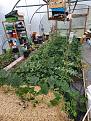 Click image for larger version

Name:	20200613_090632 (1).jpg
Views:	384
Size:	319.8 KB
ID:	2499232