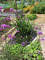 Click image for larger version

Name:	Pond.JPG
Views:	170
Size:	962.9 KB
ID:	2507065