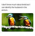 Click image for larger version

Name:	IMG-20201001-WA0000.jpg
Views:	214
Size:	55.9 KB
ID:	2509670