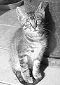 Click image for larger version

Name:	Titch.jpg
Views:	213
Size:	151.9 KB
ID:	2526894