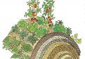Click image for larger version

Name:	Hügel1.jpg
Views:	321
Size:	214.6 KB
ID:	2536402