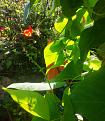 Click image for larger version

Name:	IMG_20220809_134107_edit_268861582453766.jpg
Views:	356
Size:	1.24 MB
ID:	2550241