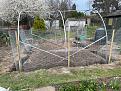 Click image for larger version

Name:	rat fence 3.jpg
Views:	149
Size:	1.79 MB
ID:	2594262