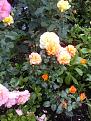 Click image for larger version

Name:	IMG_20250716_201742.jpg
Views:	241
Size:	575.7 KB
ID:	2601138