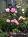 Click image for larger version

Name:	IMG_20250716_201732.jpg
Views:	261
Size:	635.4 KB
ID:	2601140