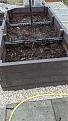2/3 filled with compost and tree branches